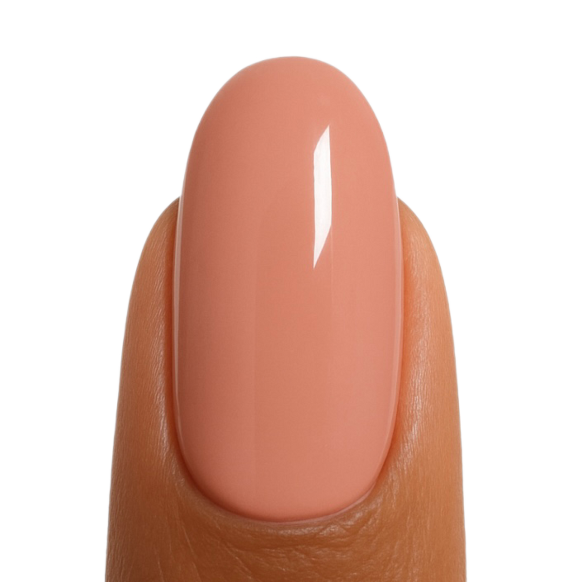 Her Favorite Color - 079 – Beauty Plus Wholesale